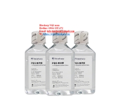 PBS (Phosphate Buffered Saline)