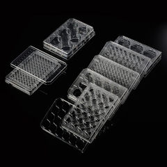 Phiến nuôi cấy tế bào 6 giếng, tiệt trùng 1 cái/túi (Cell Culture Plates) Code: 07-6006, hãng Biologix-USA