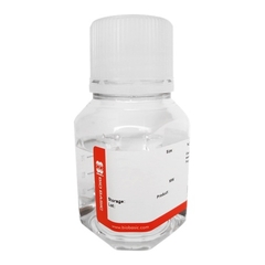 Dung dịch khử nhiễm bề mặt (RNase and DNAase Away), DB0339, BioBasic