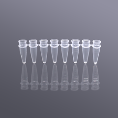 8 Strip PCR 0.2ml, túi 200 chiếc tekcovina