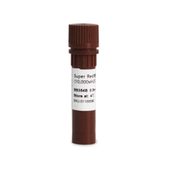 Chất nhuộm GEL thay thế EtBr (Nucleic Acid Gel Stain)