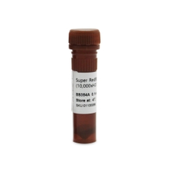 Chất nhuộm GEL thay thế EtBr (Nucleic Acid Gel Stain)