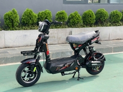 MẠNH PHÁT - XE ĐẠP ĐIỆN 133 SPATRA BÌNH TO