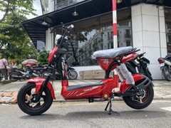 XE ĐẠP ĐIỆN 133 GALAXY 2024
