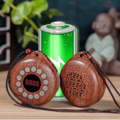 Máy niệm Phật loa nghe pháp tụng kinh có khe gắn thẻ 36 bài tiếng việt Q8-DIỆU ÂM LOTUS