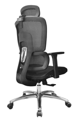 Ghế công thái học DP832