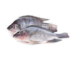 BLACK TILAPIA WHOLE CLEANED