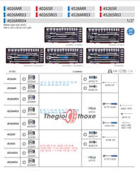 Bộ khẩu kingtony 1/2