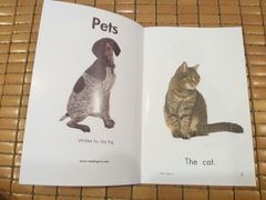 Razkids level AA (Sách nhập) - In rời 103 quyển + quiz