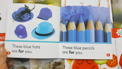 Nonfiction Sight Word Readers ABCD (Sách nhập) - 4 boxset