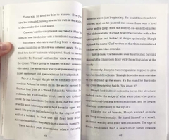 Kid normal (Sách nhập)- Bộ 4 quyển