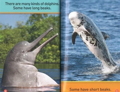 National geographic (Sách nhập) - Pre K - 30 quyển + File Mp3