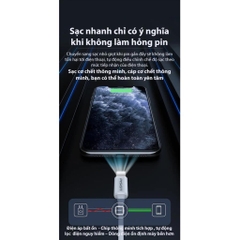 Dây sạc nhanh Pisen Quick L & Type-C 3A (Type-C to L ) 1000mm - (CL-PD-1000),  Hàng Chính Hãng