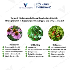 Thực phẩm bảo vệ sức khỏe ECHINACEA GOLDENSEAL COMPLEX