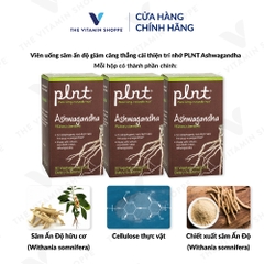 Thực phẩm bảo vệ sức khỏe ASHWAGANDHA