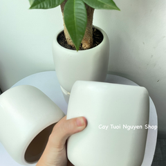 CHẬU TRÁNG MEN BO TRÒN MIỆNG 9.5*11CM, (1 chậu),chậu trồng cây, trang trí nội thất, Cây Tươi Nguyên CTN1497