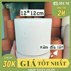 CHẬU TRỤ TRẮNG CÓ ĐĨA KÈM THEO (12*12cm) (1 chậu), tráng men, chậu cây trong nhà, trang trí decocr nhà đẹp Cây Tươi Nguyên CTN1546
