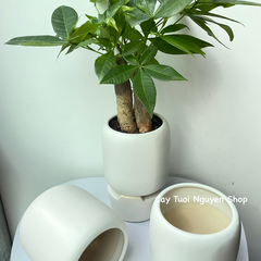 CHẬU TRÁNG MEN BO TRÒN MIỆNG 9.5*11CM, (1 chậu),chậu trồng cây, trang trí nội thất, Cây Tươi Nguyên CTN1497