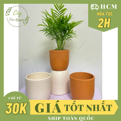 CHẬU TRỨNG ĐẤT NUNG Size S (10*10cm) (1 chậu), gốm đất nung, chậu cây mini, sen đá, xương rồng Cây Tươi Nguyên CTN0970