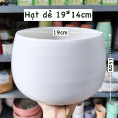 CHẬU TRỤ TRÁNG MEN TRẮNG Size 11CM, 15CM, 18CM (1 chậu), tráng men, chậu cây trong nhà, bền đẹp, Cây Tươi Nguyên CTN1458