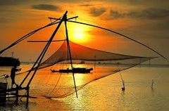 PHÚ YÊN _ HOA VÀNG TRÊN CỎ XANH