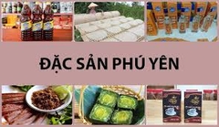 PHÚ YÊN _ HOA VÀNG TRÊN CỎ XANH