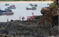 PHÚ YÊN _ HOA VÀNG TRÊN CỎ XANH