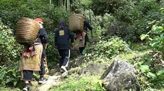 EASY TREKKING ( DAY TOUR )