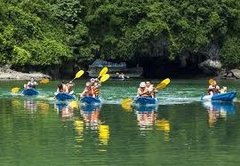 HA LONG BAY ( DAY TOUR )