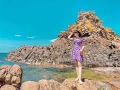 PHÚ YÊN _ HOA VÀNG TRÊN CỎ XANH