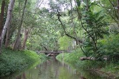 TÂY SƠN _ KHU DU LỊCH HẦM HÔ