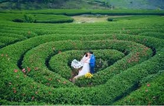 HÀ NỘI _ MỘC CHÂU _ CẦU KÍNH BẠCH LONG _ HÀ NỘI :