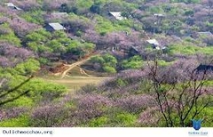 HÀ NỘI _ MỘC CHÂU _ CẦU KÍNH BẠCH LONG _ HÀ NỘI :