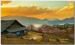 TREKKING MODERATE ( DAY TOUR )