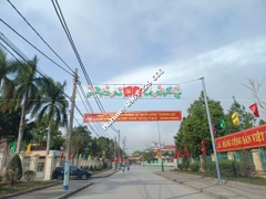 Trang trí đô thị mới