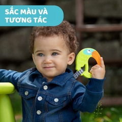 Cắn răng hình vẹt vui nhộn Chicco