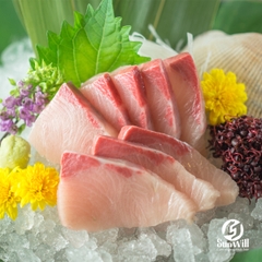 [Hải Sản] Cá Cam Hamachi