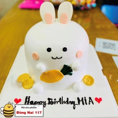 Bánh kem sinh nhật Biên Hòa Đồng Nai 117