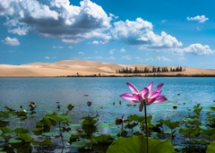 NHA TRANG - MŨI NÉ ( Tour Tham Quan Trong Ngày )
