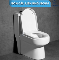 Bồn Cầu Liền Khối BC 801