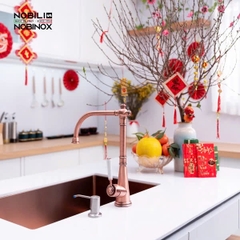 Vòi rửa bát NoBiNox CHARLIE NB255C