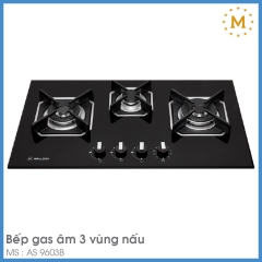 Bếp Gas Malloca AS 9603B