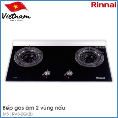 Bếp Gas Âm Rinnai RVB-2Gi(B)