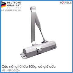 Tay Đẩy Hơi Cùi Chỏ 80Kg Hafele 489.30.036