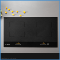 Bếp Từ Skylux Malloca MH-802