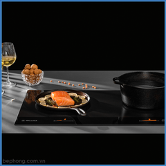 Bếp Từ Skylux Malloca MH-802