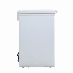 Tủ Đông Alaska BD-150