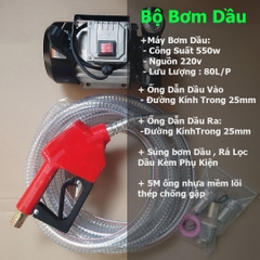 Máy bơm dầu 220V 550W Lưu lượng 60L/Phút - Máy bơm dầu Diesel bơm nhiên liệu