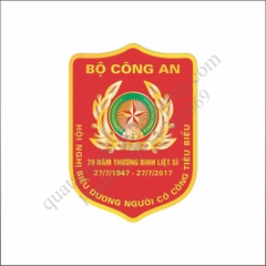 Huy hiệu 70 năm thương binh liệt sĩ