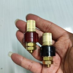 Cặp cọc đồng M6, M8 lắp vỏ acquy, dùng kẹp cá sấu hoặc cos